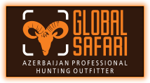 Turhunt — Global Safari