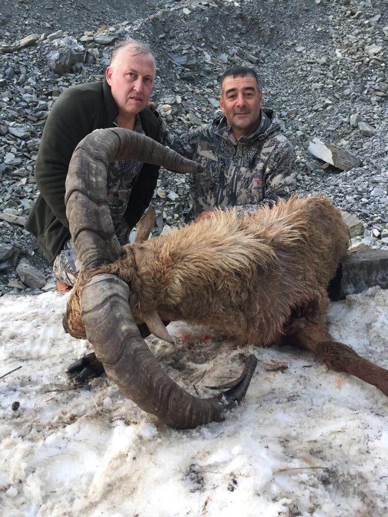 Miklhail Samovarov and Dagestan Tur