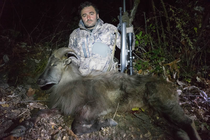 Valeriy shot Blue sheep and Himalayan tahr in Nepal