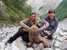 Hunt in Azerbaijan