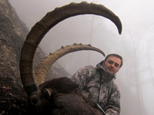 Valeriy hunted for Alpine Ibex in Austria