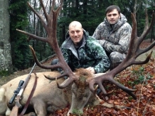 Huge Reed Deer and and mouflon