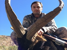 2 Spanish Ibex was taken by Valeriy from Russia