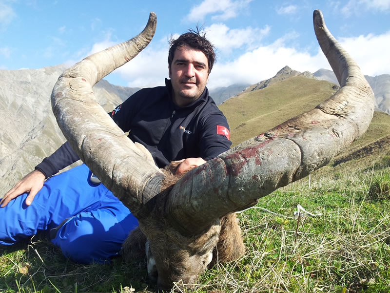 Dagestan Tur — Trophies