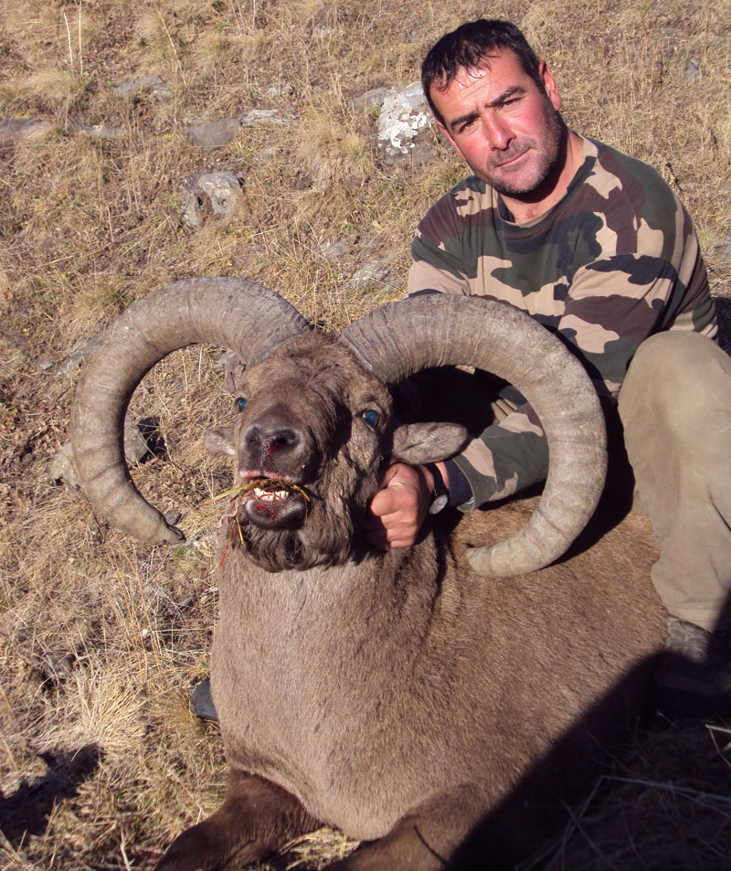 Dagestan Tur — Trophies