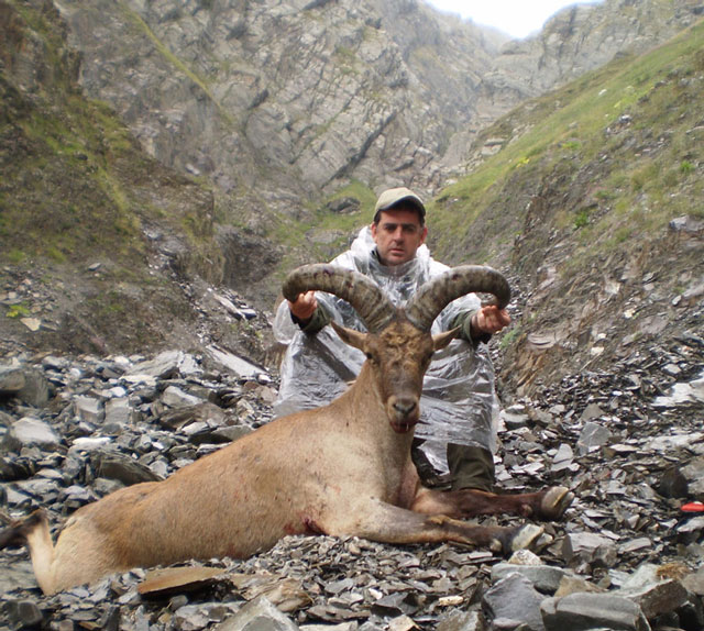 Dagestan Tur — Trophies