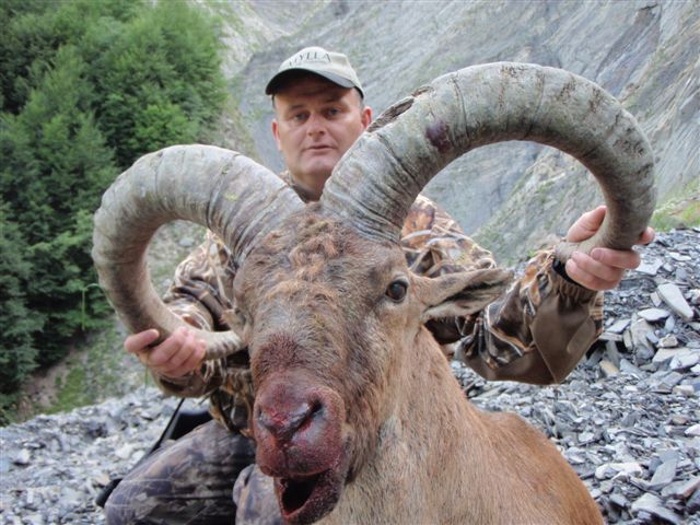 Dagestan Tur — Trophies