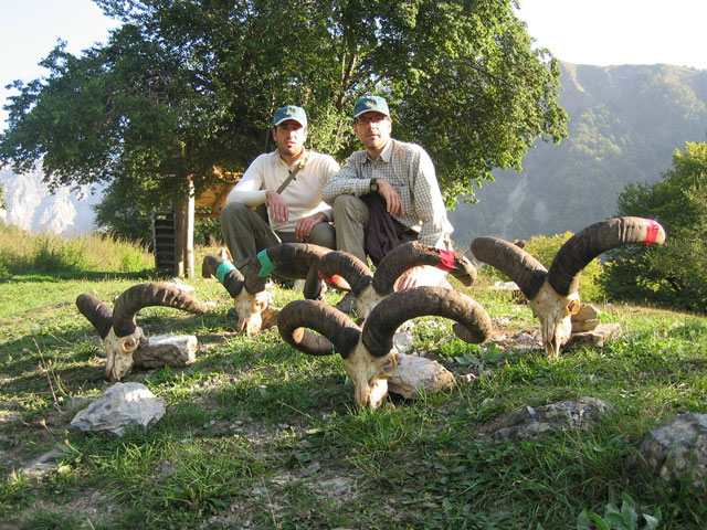Dagestan Tur — Trophies