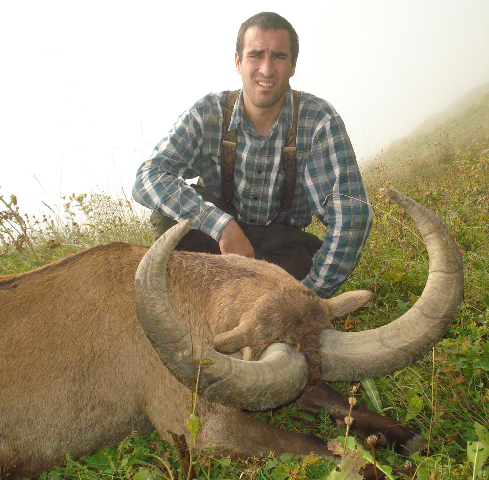 Dagestan Tur — Trophies