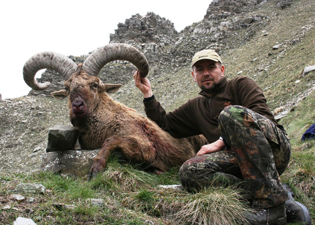 Dagestan Tur — Trophies