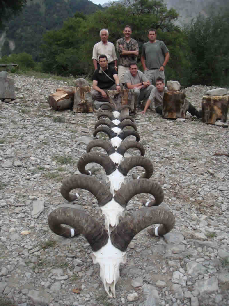 Dagestan Tur — Trophies