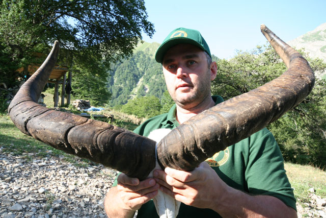 Dagestan Tur — Trophies