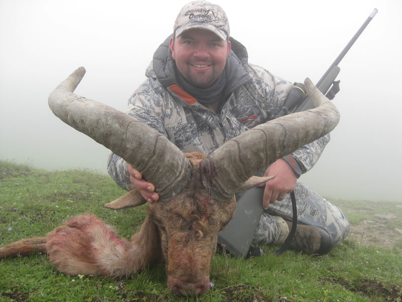 Dagestan Tur — Trophies