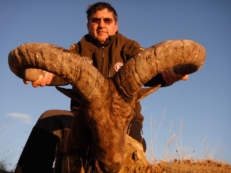 Dagestan Tur — Trophies