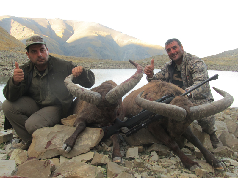 Dagestan Tur — Trophies