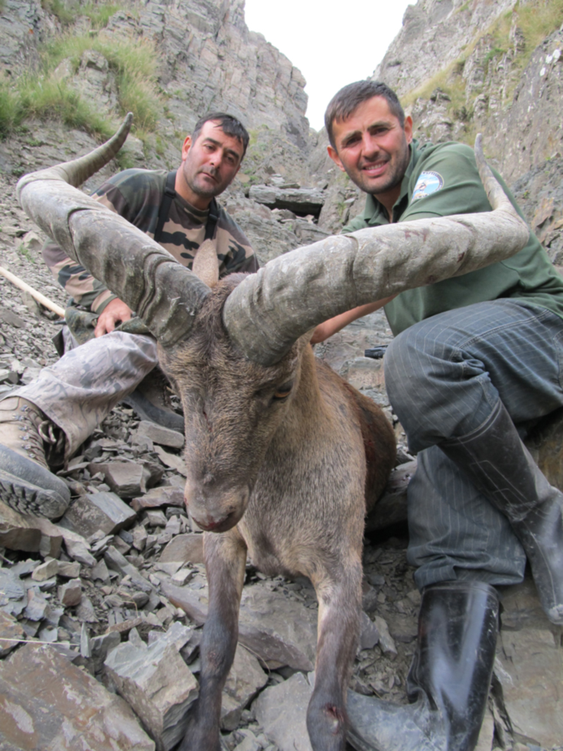 Dagestan Tur — Trophies