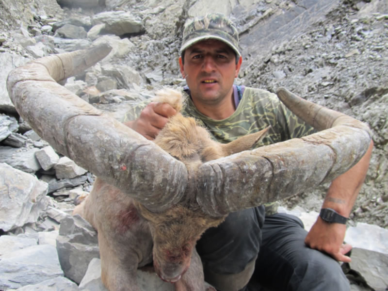 Dagestan Tur — Trophies