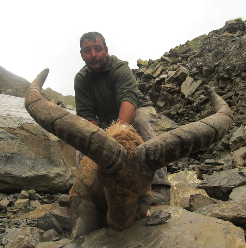 Dagestan Tur — Trophies