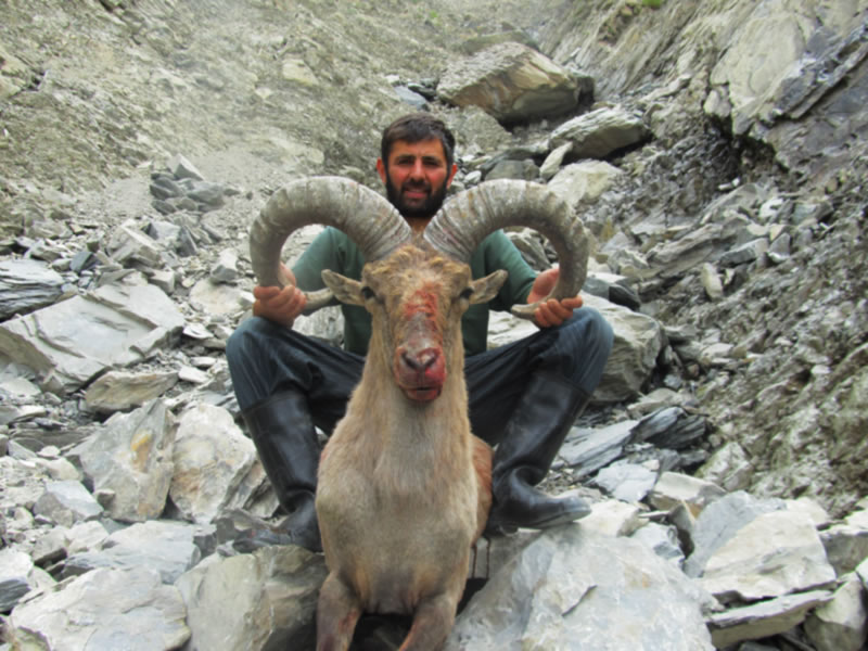 Dagestan Tur — Trophies