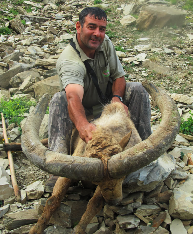 Dagestan Tur — Trophies