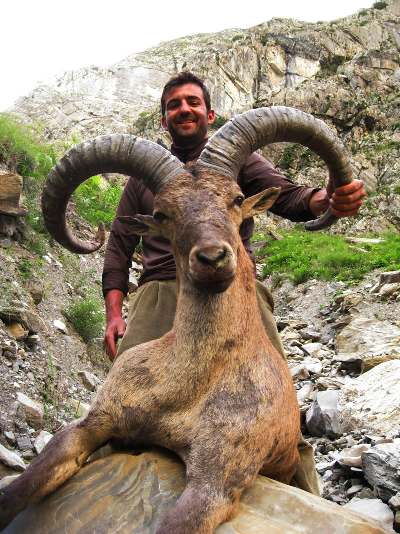 Dagestan Tur — Trophies
