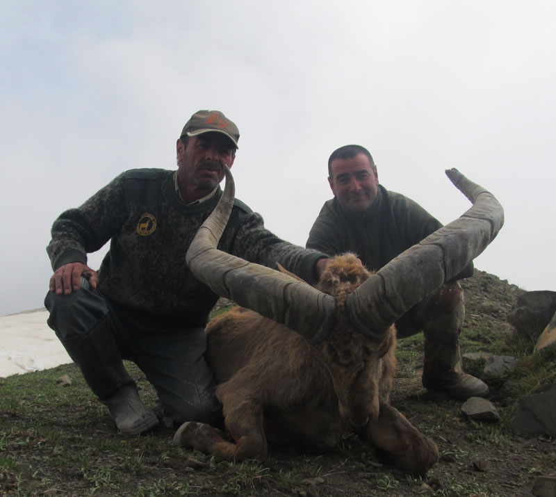 Dagestan Tur — Trophies