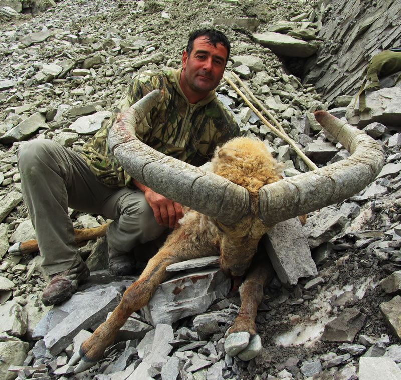 Dagestan Tur — Trophies