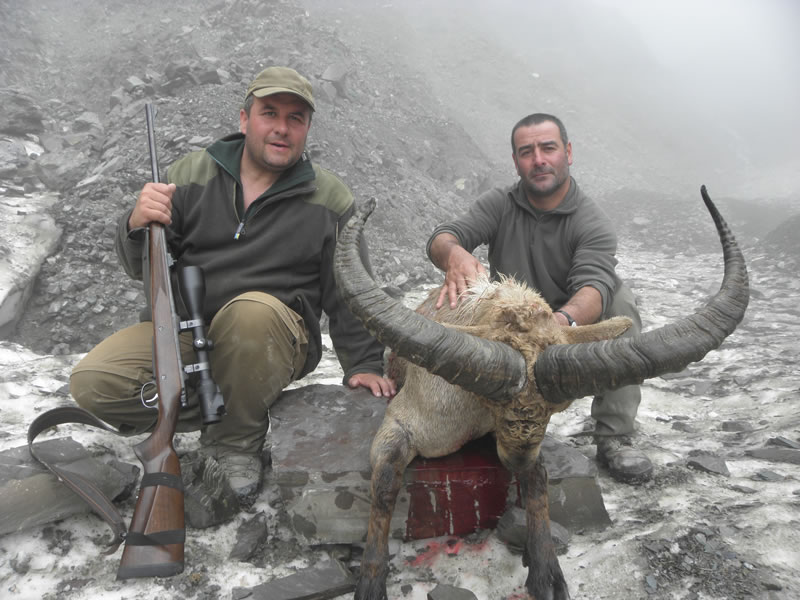 Dagestan Tur — Trophies
