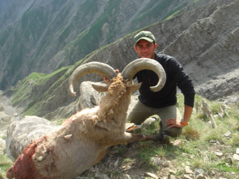 Dagestan Tur — Trophies