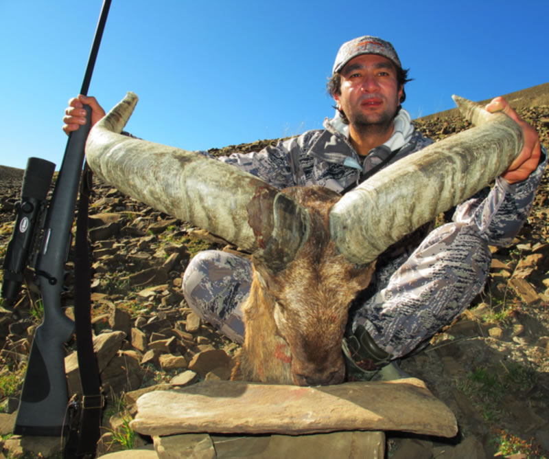 Dagestan Tur — Trophies