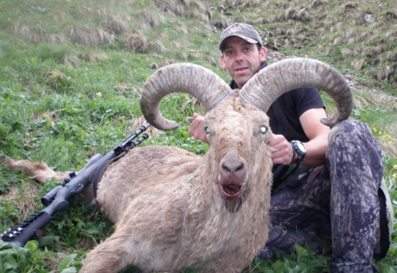 Dagestan Tur — Trophies