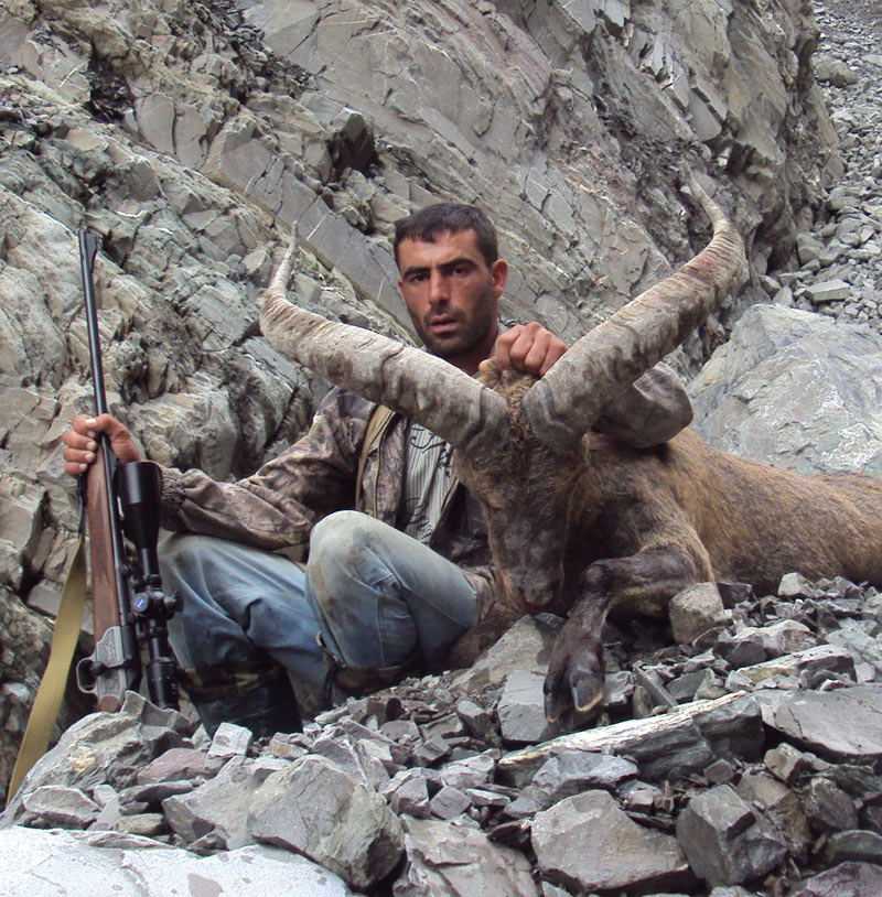 Dagestan Tur — Trophies