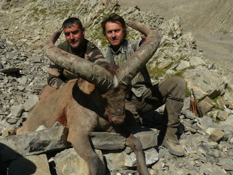 Dagestan Tur — Trophies