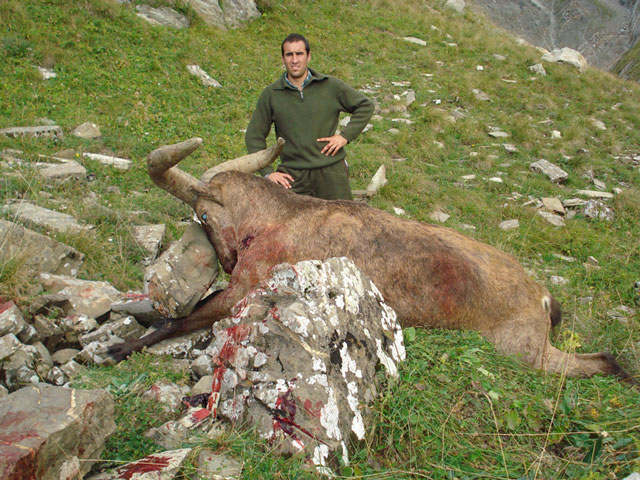 Dagestan Tur — Trophies
