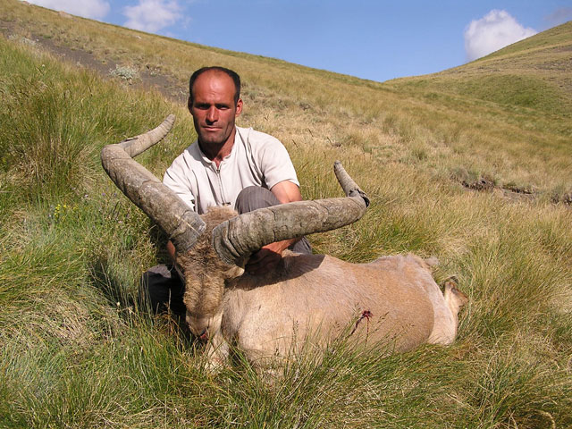 Dagestan Tur — Trophies