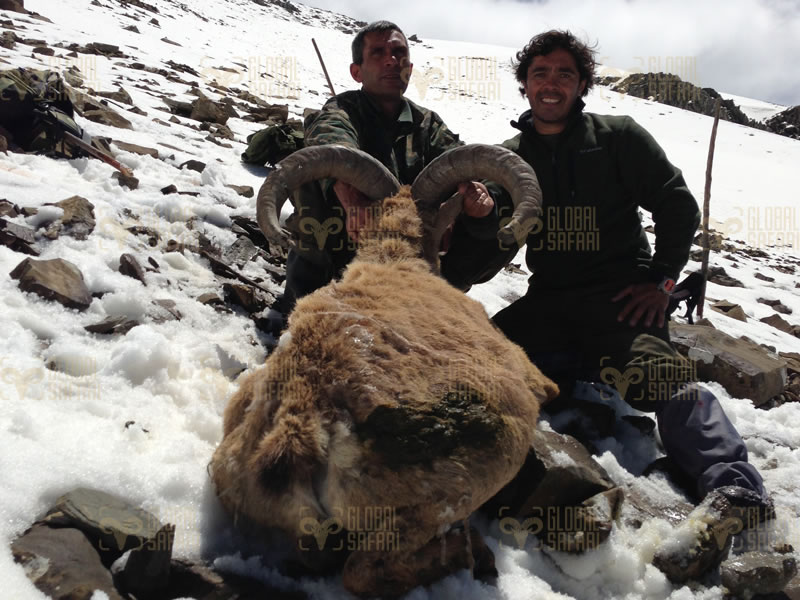 Dagestan Tur — Trophies