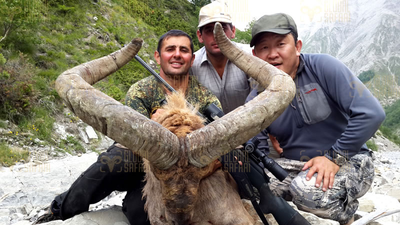 Dagestan Tur — Trophies