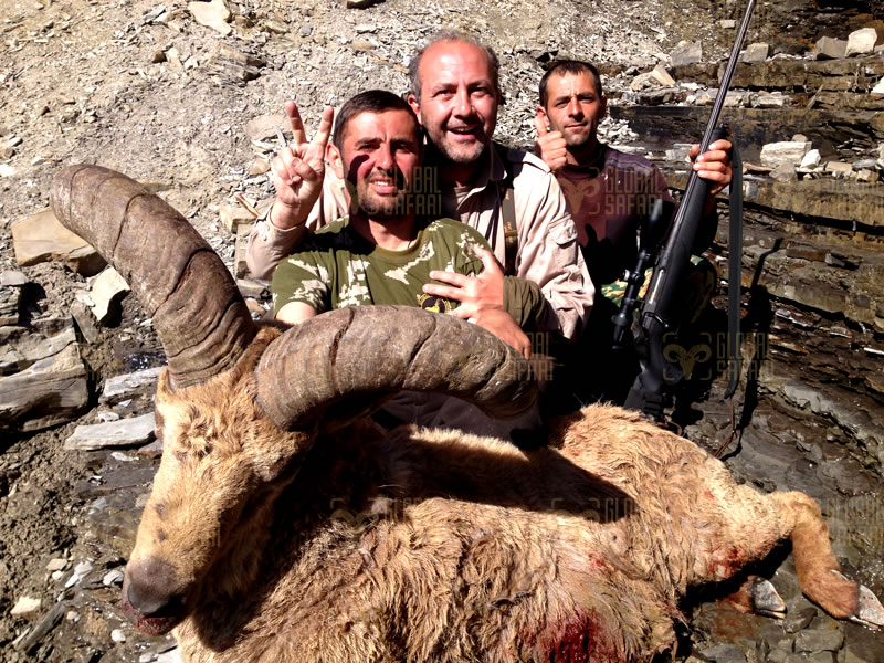 Dagestan Tur — Trophies