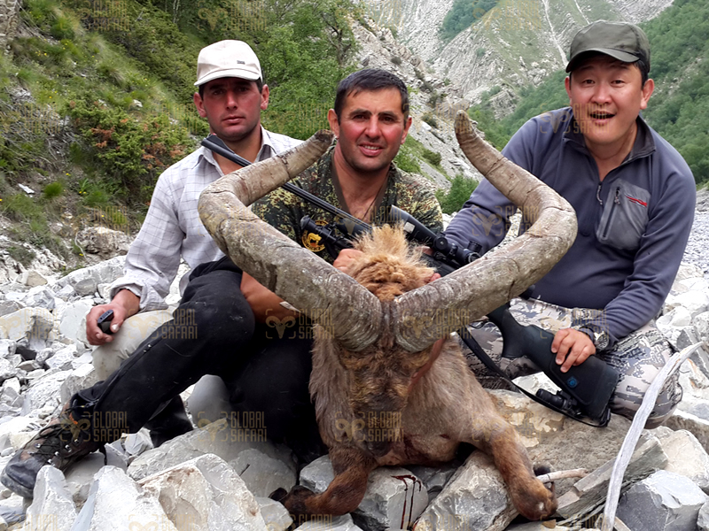 Dagestan Tur — Trophies