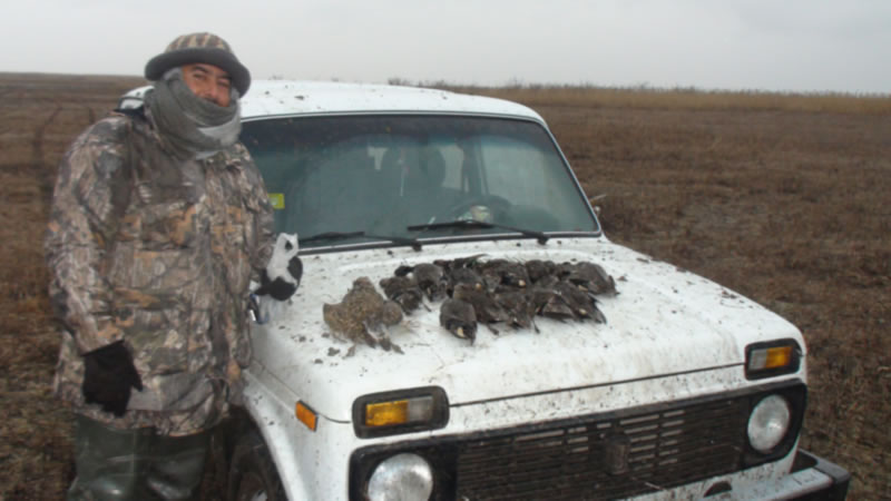 Azerbaijan — Ducks & Stone Partridge