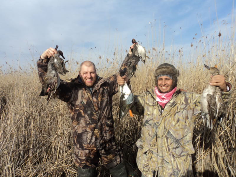 Azerbaijan — Ducks & Stone Partridge