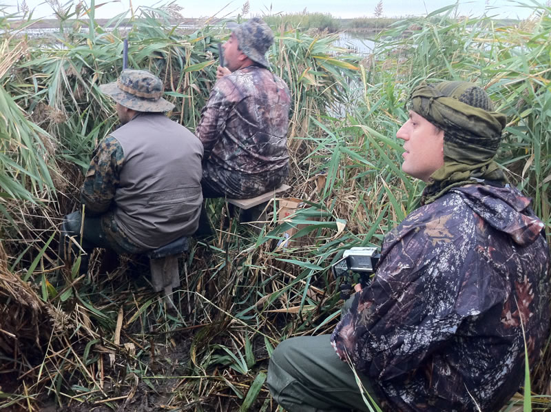 Azerbaijan — Ducks & Stone Partridge