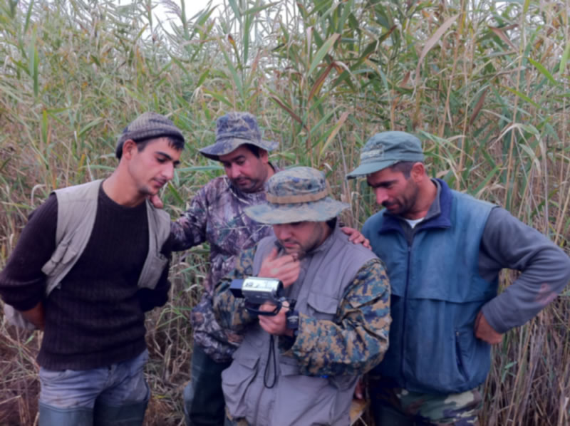 Azerbaijan — Ducks & Stone Partridge