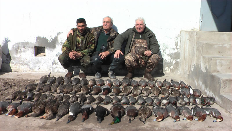 Azerbaijan — Ducks & Stone Partridge