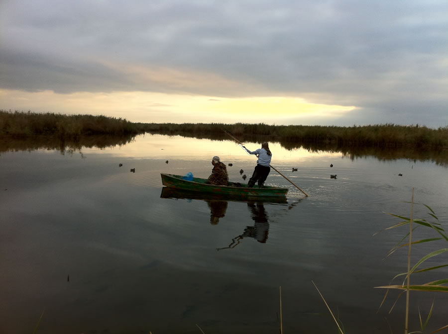 Azerbaijan — Ducks & Stone Partridge