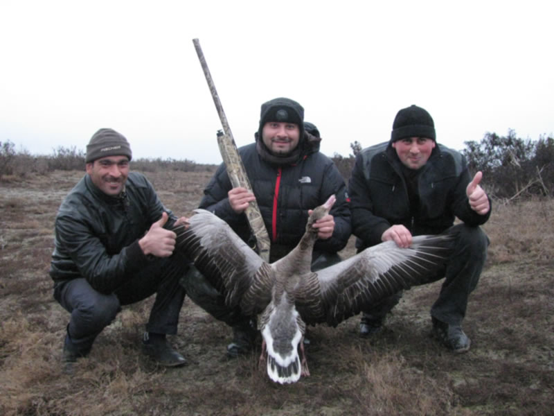 Azerbaijan — Ducks & Stone Partridge