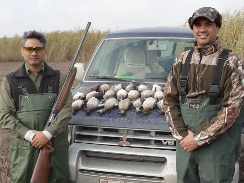 Azerbaijan — Ducks & Stone Partridge