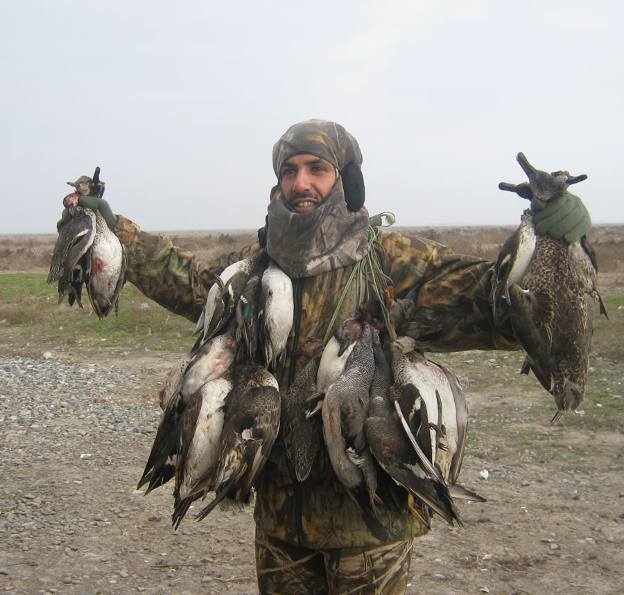 Azerbaijan — Ducks & Stone Partridge