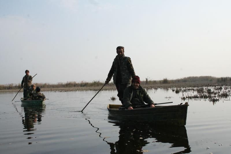 Azerbaijan — Ducks & Stone Partridge