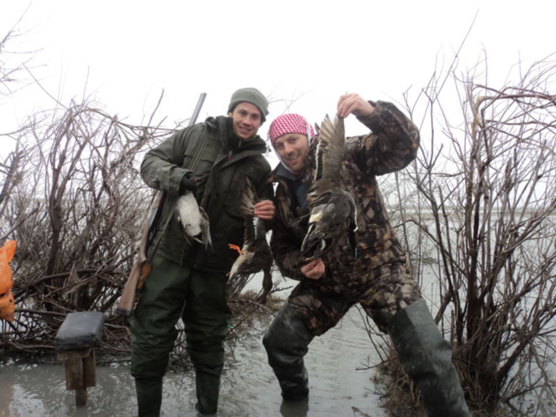 Azerbaijan — Ducks & Stone Partridge